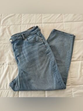 American Eagle Outfitters Mom Straight Jean Size 22